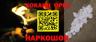 стаф Дубна