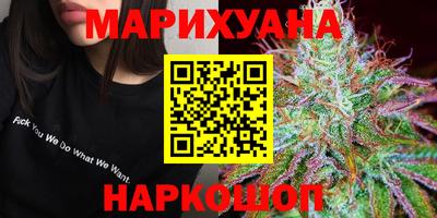 стаф Дубна