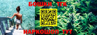 стаф Дубна